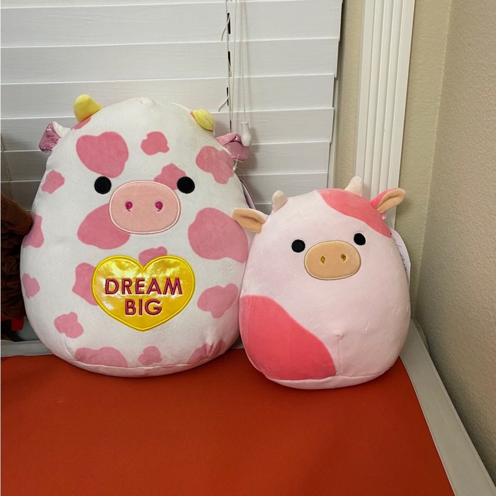 Reshma & Evangelica Squishmallow Bundle